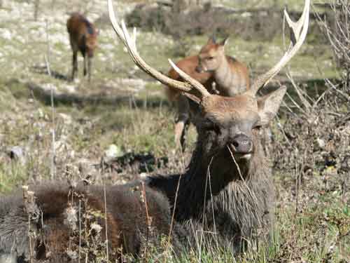 rencontre lande